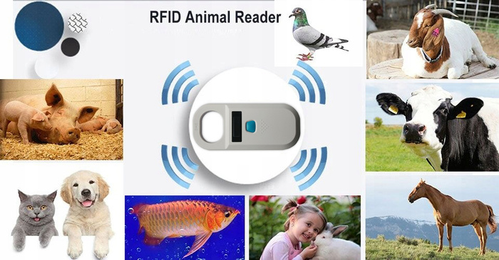 Czytnik mikroczipów dla zwierząt Bluscan X800, zdjęcie 4